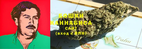apvp Алексин
