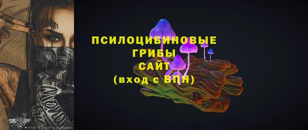 apvp Алексин