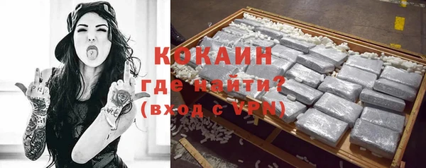 apvp Алексин