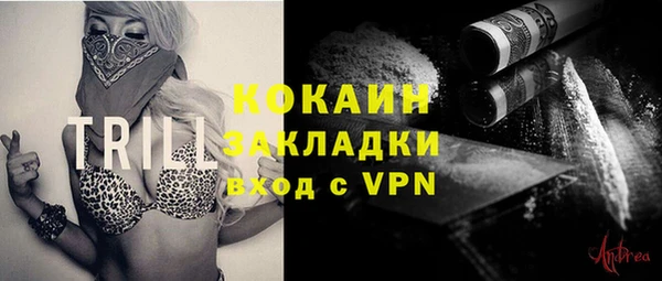 apvp Алексин