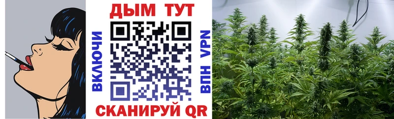 Конопля семена  Кукмор 